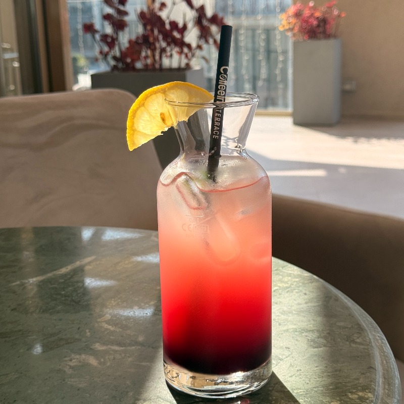 BLUEBERRY LEMONADA